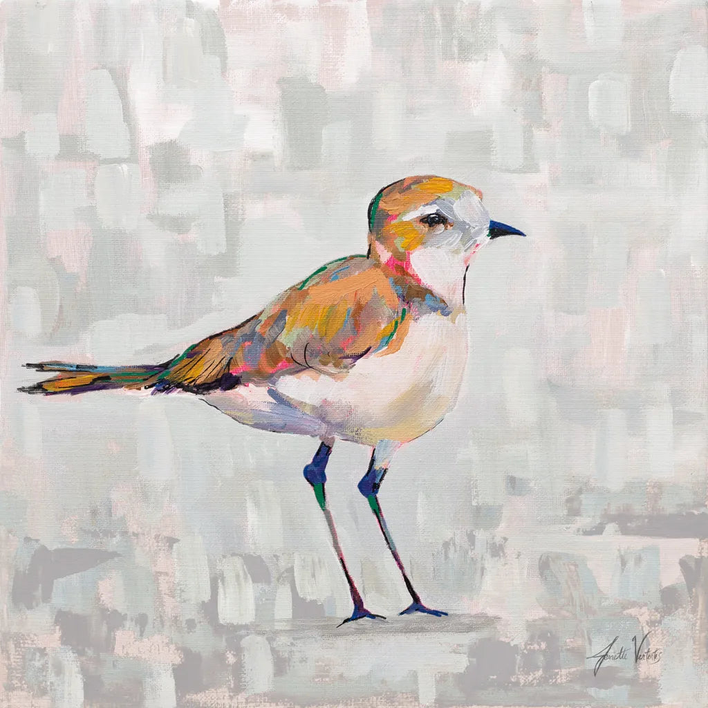 Coastal Plover III Gray by Jeanette Vertentes. SKU 68802a. Archival Giclee Fine art print for wall decor.