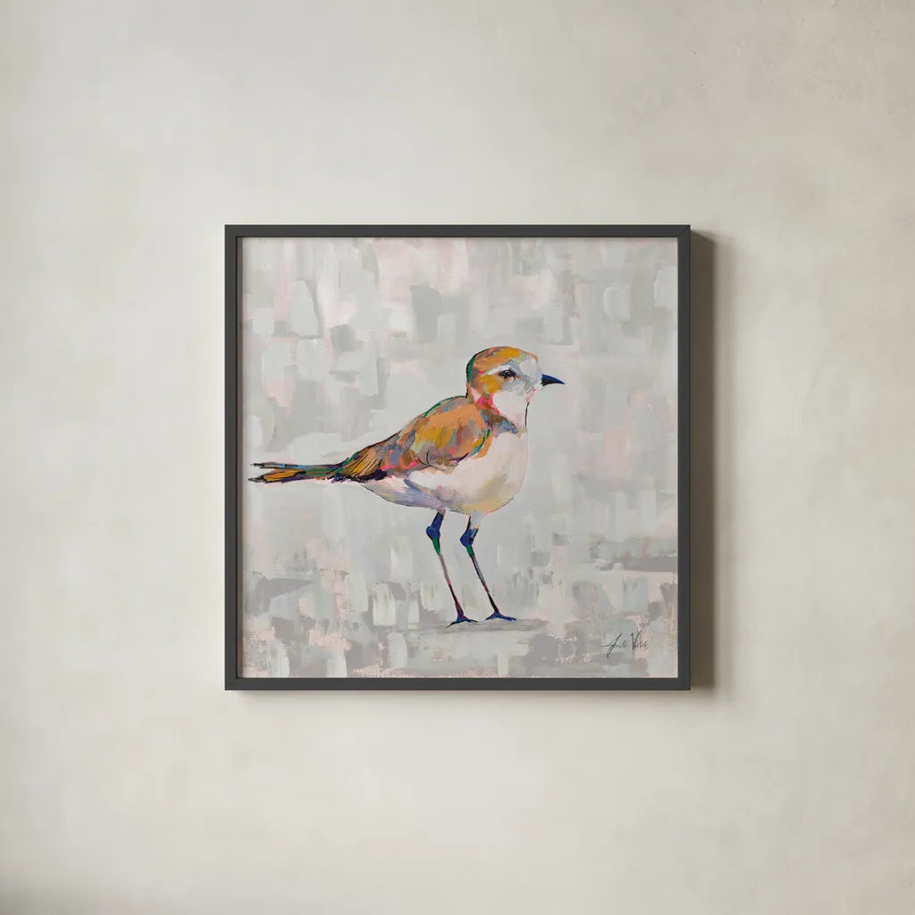 Coastal Plover III Gray by Jeanette Vertentes. Shown in a sleek black glass frame for a contemporary gallery look. Available as an archival giclee rolled canvas, fine art paper, or poster print. SKU 68802a.