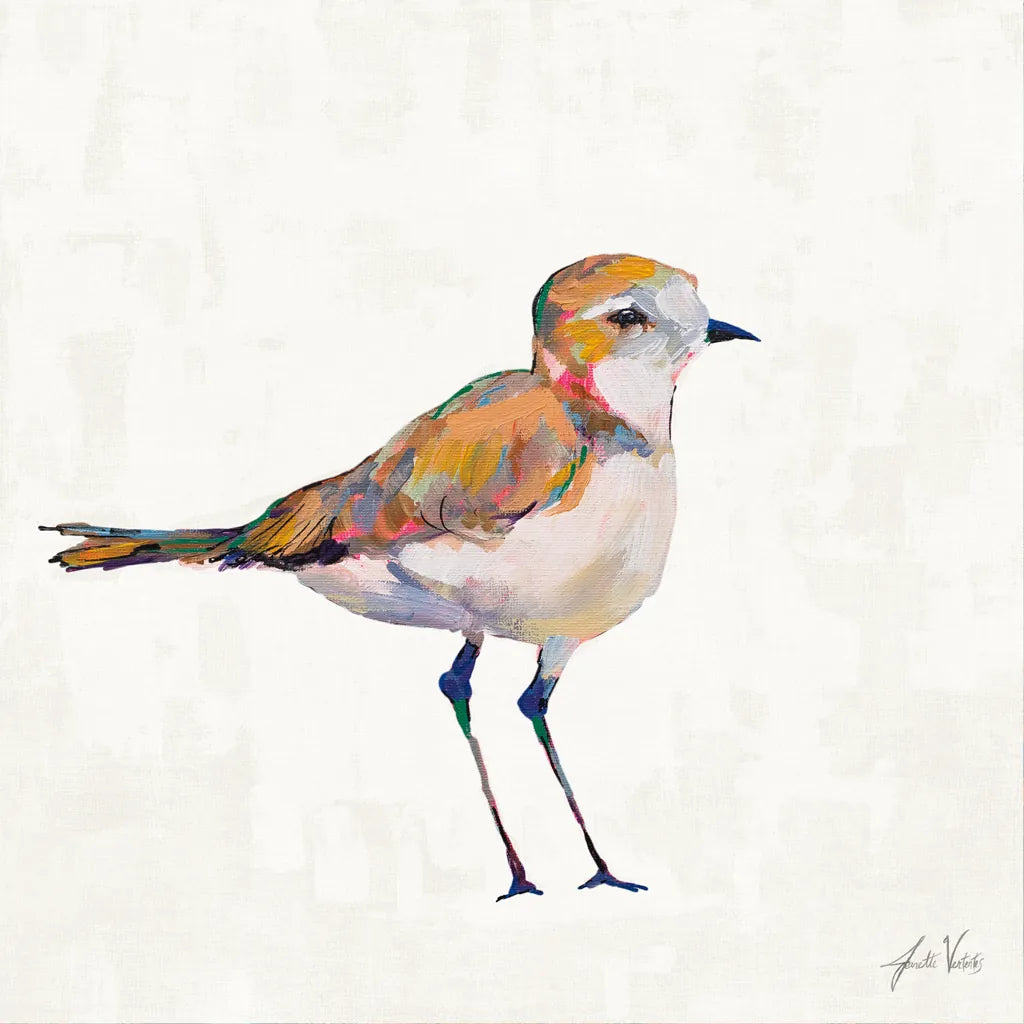 Coastal Plover III Linen by Jeanette Vertentes. SKU 70071a. Archival Giclee Fine art print for wall decor.