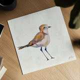 Coastal Plover III Linen by Jeanette Vertentes. Shown as a detailed flat fine art print, highlighting archival giclee quality. Available as an archival giclee rolled canvas, fine art paper, or poster print. SKU 70071a.