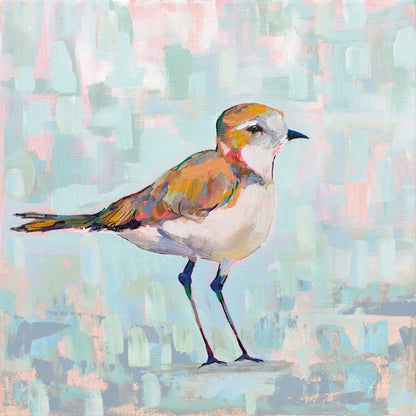 Coastal Plover III Neutral by Jeanette Vertentes. SKU 56826a. Archival Giclee Fine art print for wall decor.