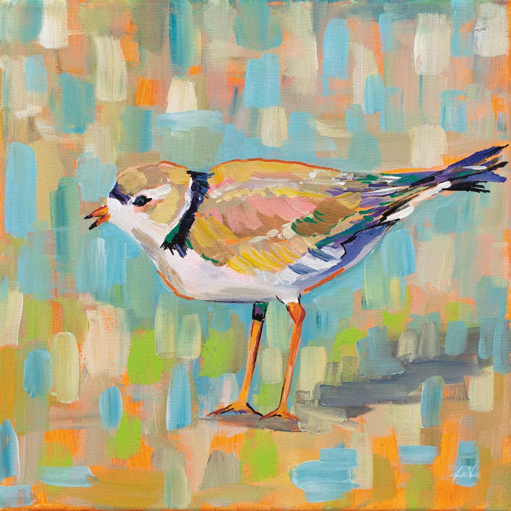Coastal Plover IV by Jeanette Vertentes. SKU 55182a. Archival Giclee Fine art print for wall decor.
