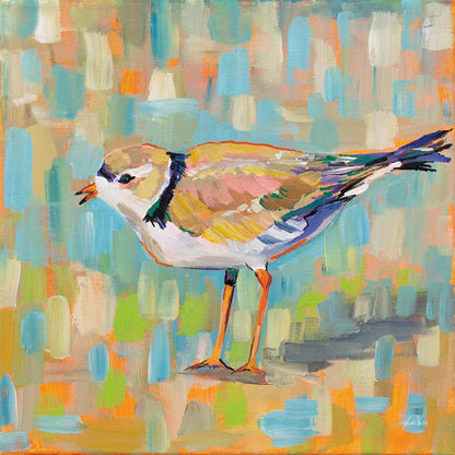 Coastal Plover IV by Jeanette Vertentes. SKU 55182a. Archival Giclee Fine art print for wall decor.