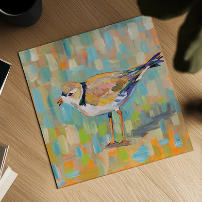 Coastal Plover IV by Jeanette Vertentes. Shown as a detailed flat fine art print, highlighting archival giclee quality. Available as an archival giclee rolled canvas, fine art paper, or poster print. SKU 55182a.
