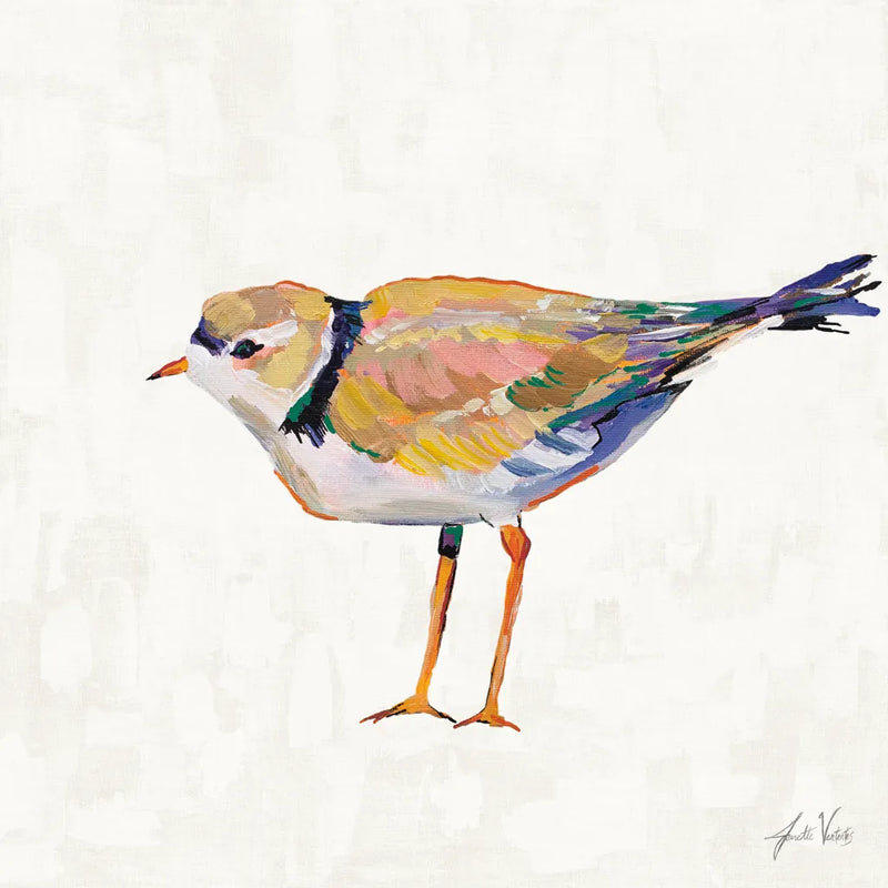 Coastal Plover IV Linen by Jeanette Vertentes. SKU 70072a. Archival Giclee Fine art print for wall decor.