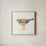 Coastal Plover IV Linen by Jeanette Vertentes. Shown in a natural wood glass frame for a timeless modern aesthetic. Available as an archival giclee rolled canvas, fine art paper, or poster print. SKU 70072a.