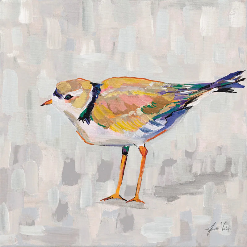 Coastal Plover IV v2 Gray by Jeanette Vertentes. SKU 68803a. Archival Giclee Fine art print for wall decor.