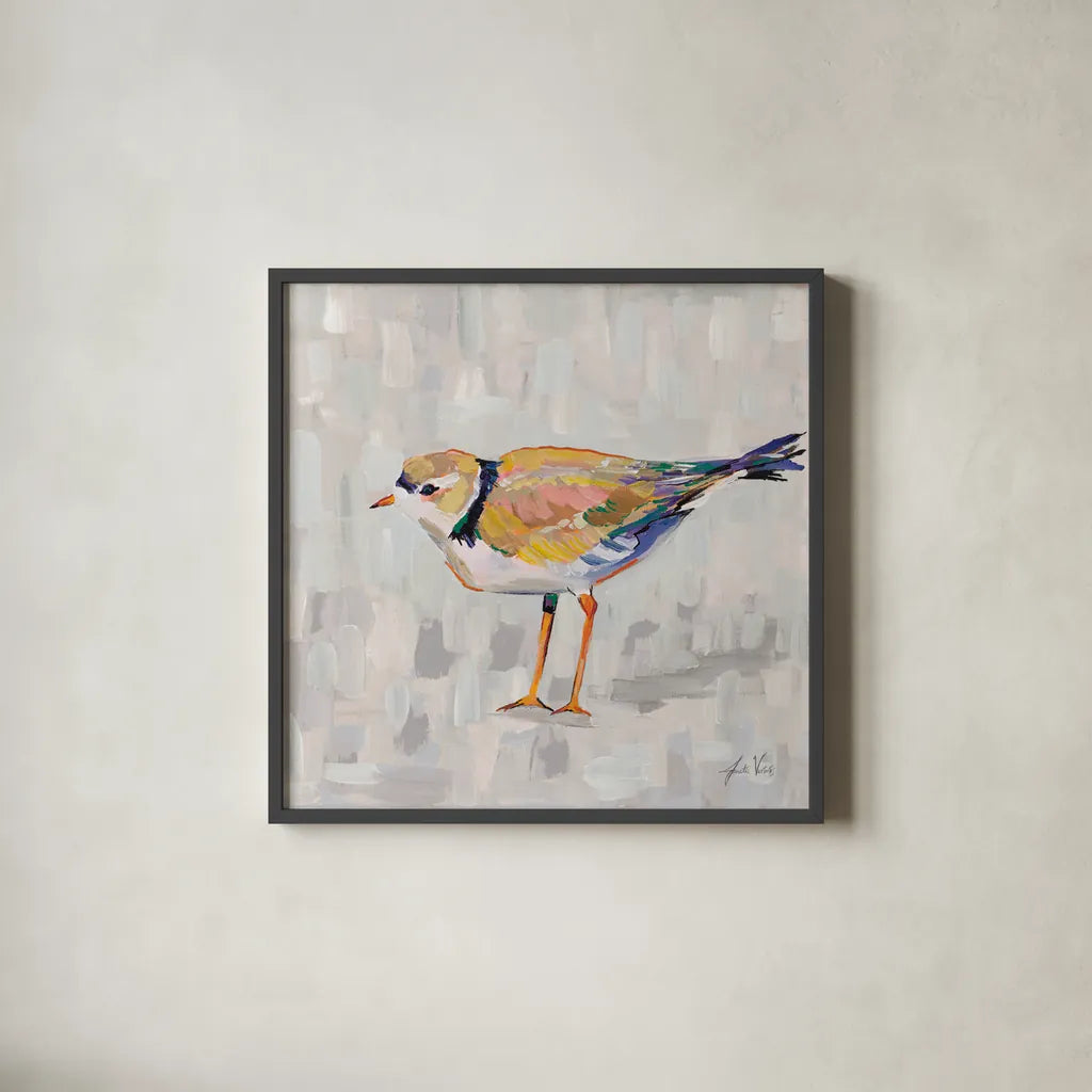 Coastal Plover IV v2 Gray by Jeanette Vertentes. Shown in a sleek black glass frame for a contemporary gallery look. Available as an archival giclee rolled canvas, fine art paper, or poster print. SKU 68803a.