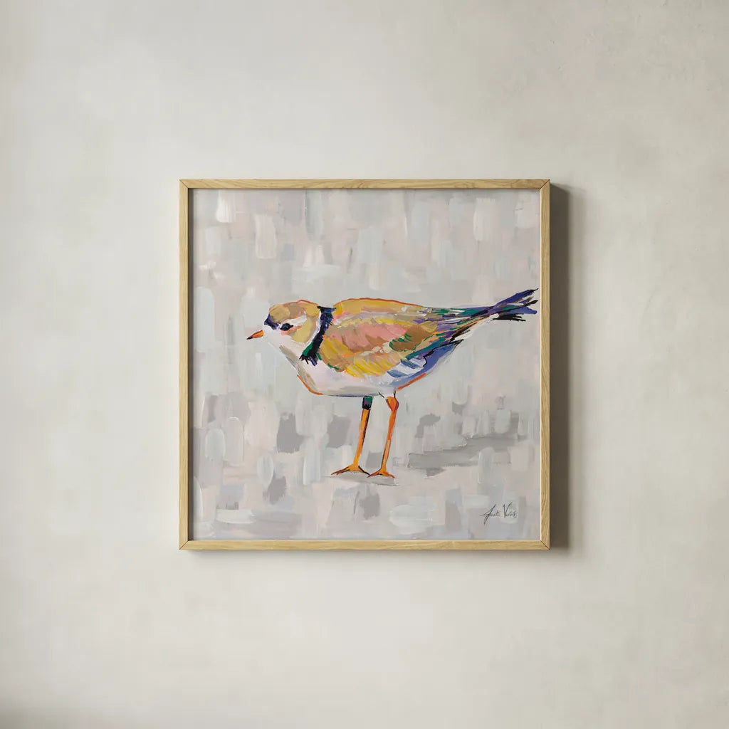 Coastal Plover IV v2 Gray by Jeanette Vertentes. Shown in a natural wood glass frame for a timeless modern aesthetic. Available as an archival giclee rolled canvas, fine art paper, or poster print. SKU 68803a.