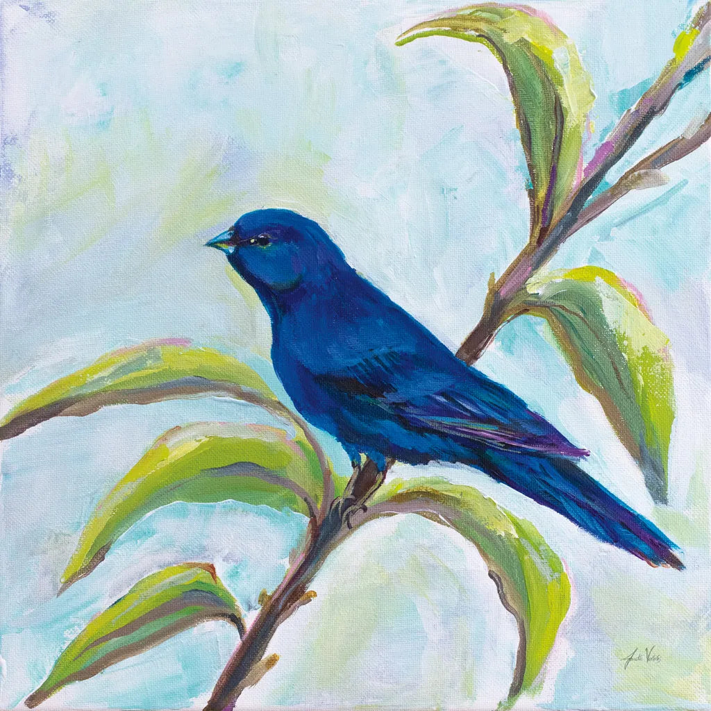 Indigo Bunting by Jeanette Vertentes. SKU 63459a. Archival Giclee Fine art print for wall decor.