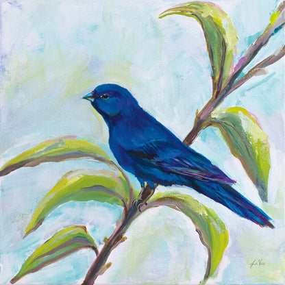 Indigo Bunting by Jeanette Vertentes. SKU 63459a. Archival Giclee Fine art print for wall decor.