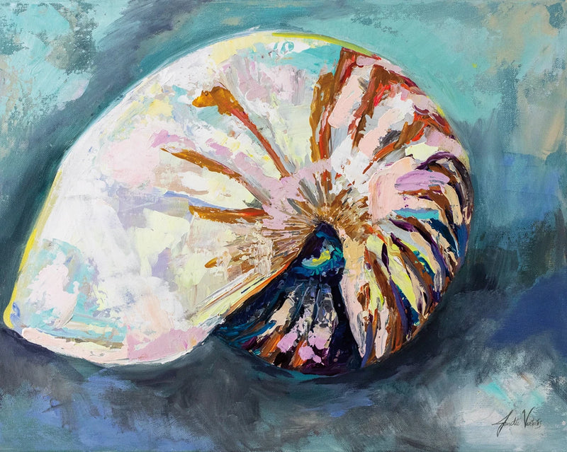 Nautilus Shell by Jeanette Vertentes