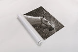 After a Shower by Jim Dratfield. shown as a rolled paper print. Available as archival giclee rolled canvas, fine art paper, or poster print. SKU 25476i.