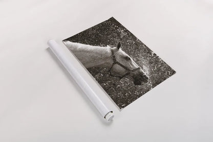 After a Shower by Jim Dratfield. shown as a rolled paper print. Available as archival giclee rolled canvas, fine art paper, or poster print. SKU 25476i.