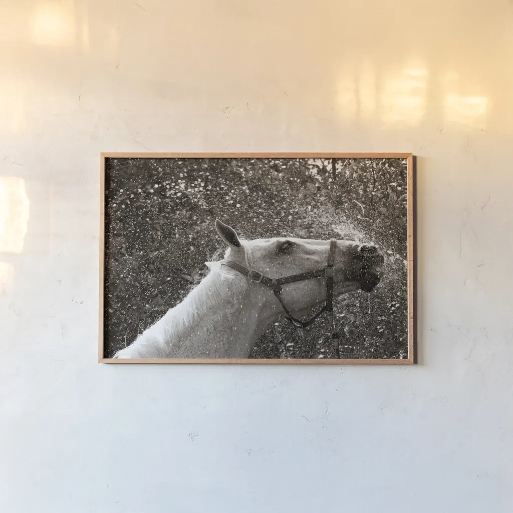 After a Shower by Jim Dratfield. shown as a paper print in a natural frame. Available as a archival giclee rolled canvas, fine art paper, or poster print. SKU 25476i.