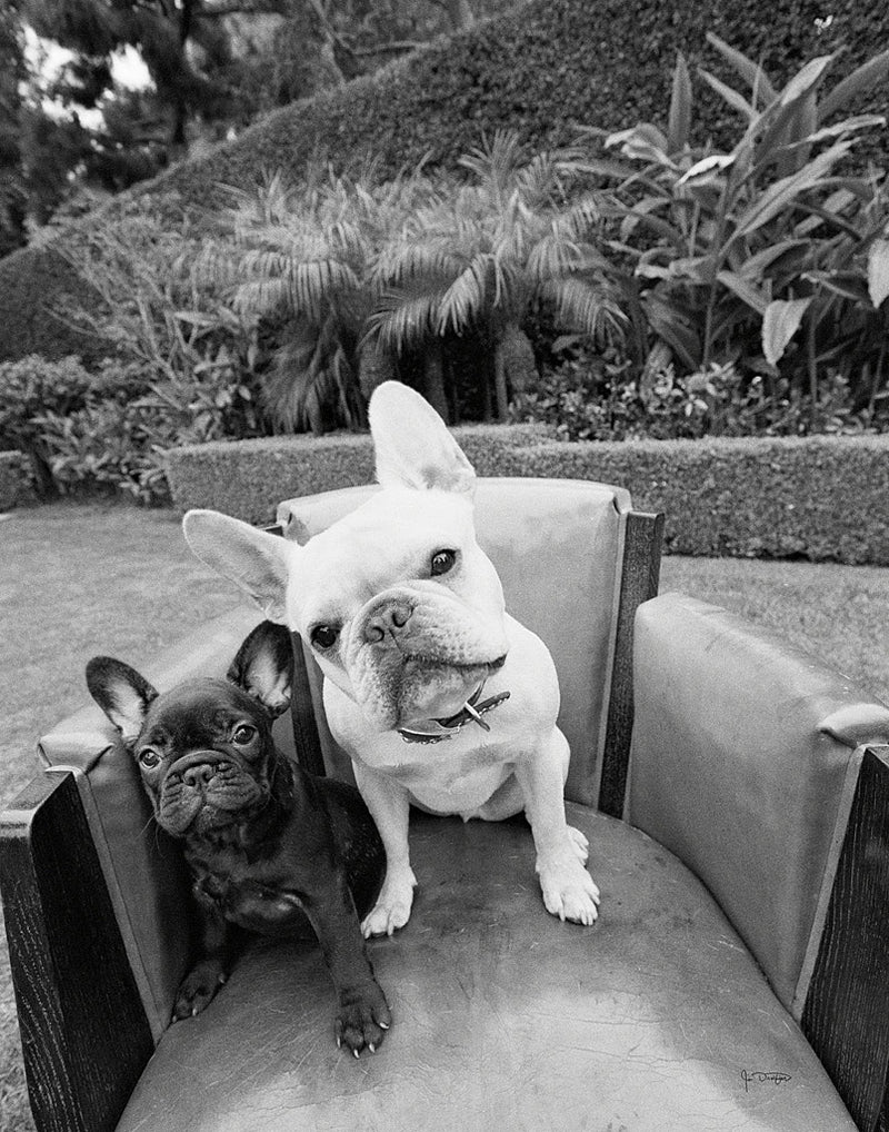 Always Friends by Jim Dratfield