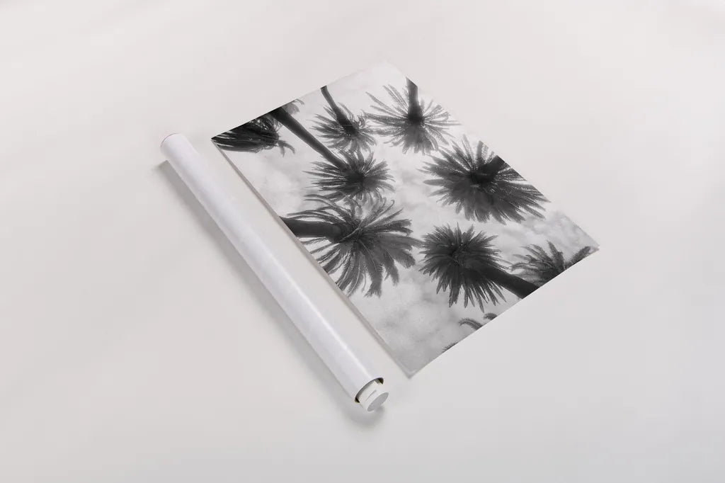 Amongst the Palms by Jim Dratfield. shown as a rolled paper print. Available as archival giclee rolled canvas, fine art paper, or poster print. SKU 30220h.