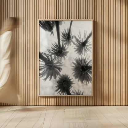 Amongst the Palms by Jim Dratfield. shown as over sized large wall art. Available as an archival giclee rolled canvas, fine art paper, or poster print. SKU 30220h.