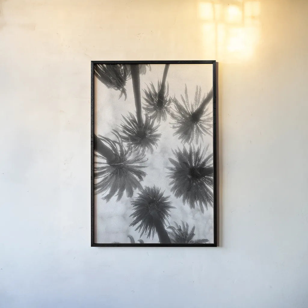 Amongst the Palms by Jim Dratfield. shown as a paper print in a black flame. Available as a archival giclee rolled canvas, fine art paper, or poster print. SKU 30220h.