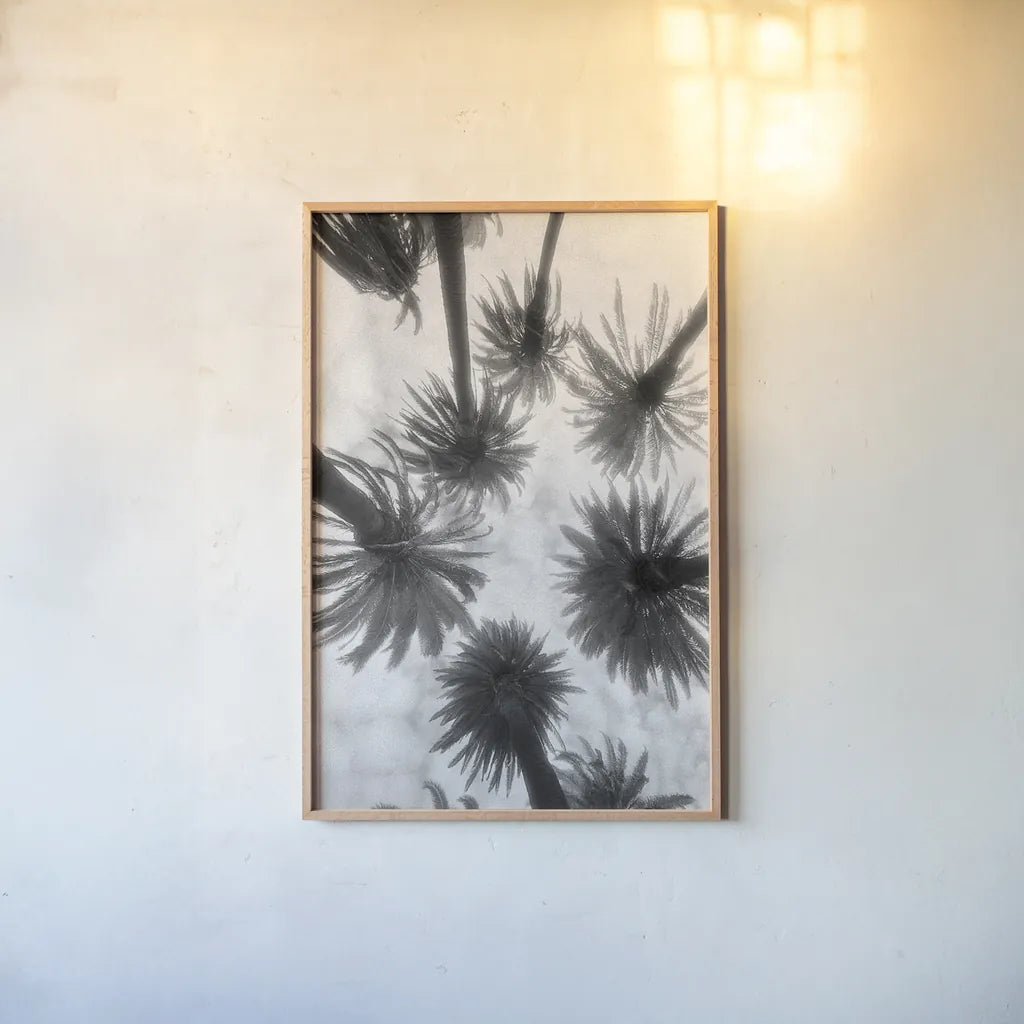 Amongst the Palms by Jim Dratfield. shown as a paper print in a natural frame. Available as a archival giclee rolled canvas, fine art paper, or poster print. SKU 30220h.