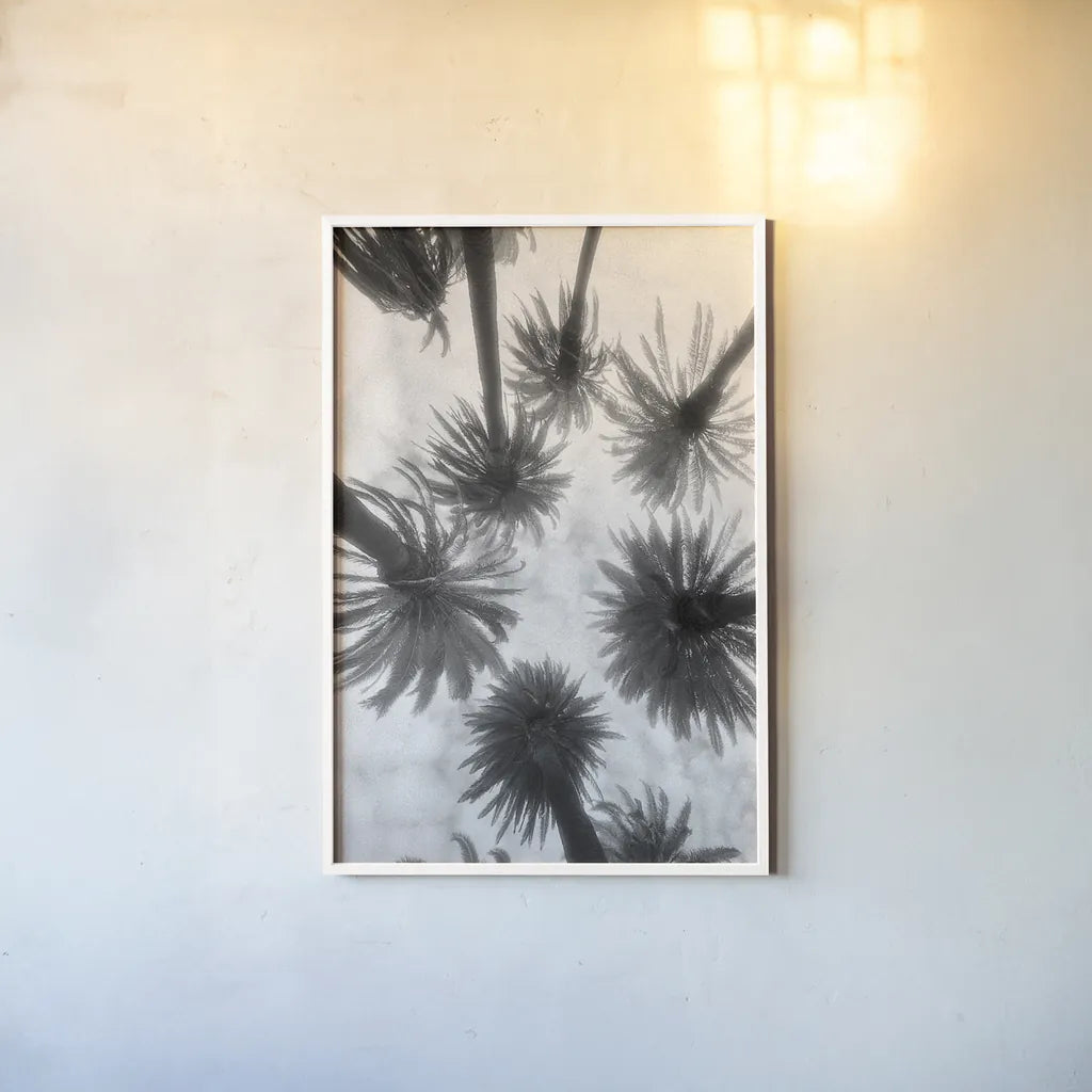 Amongst the Palms by Jim Dratfield. shown as a paper print in a white frame. Available as a archival giclee rolled canvas, fine art paper, or poster print. SKU 30220h.