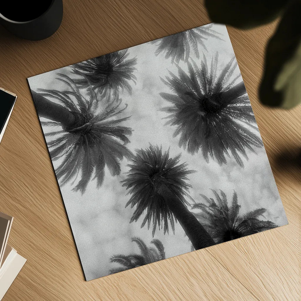 Amongst the Palms Square by Jim Dratfield. Shown as a detailed flat fine art print, highlighting archival giclee quality. Available as an archival giclee rolled canvas, fine art paper, or poster print. SKU 30220a.