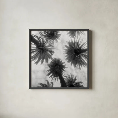 Amongst the Palms Square by Jim Dratfield. Shown in a sleek black glass frame for a contemporary gallery look. Available as an archival giclee rolled canvas, fine art paper, or poster print. SKU 30220a.