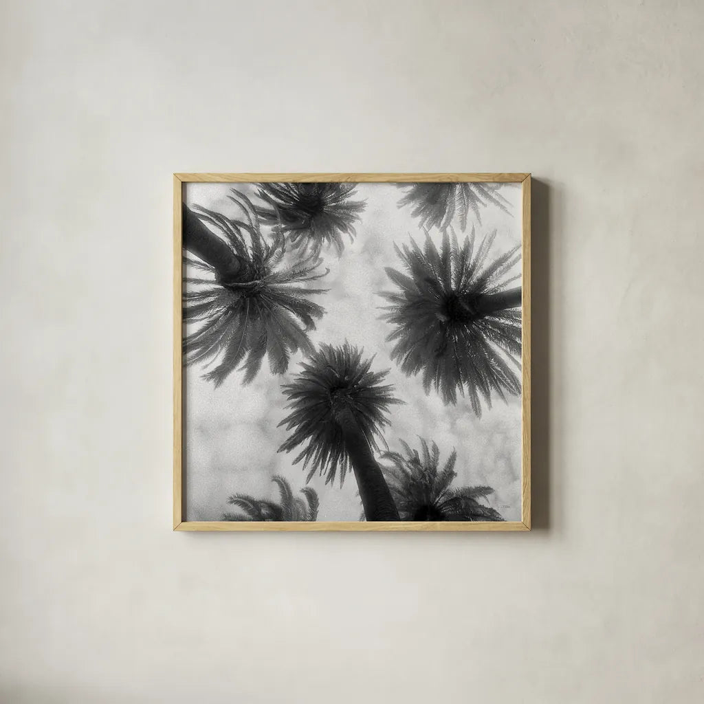 Amongst the Palms Square by Jim Dratfield. Shown in a natural wood glass frame for a timeless modern aesthetic. Available as an archival giclee rolled canvas, fine art paper, or poster print. SKU 30220a.