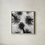 Amongst the Palms Square by Jim Dratfield. Shown in a natural wood glass frame for a timeless modern aesthetic. Available as an archival giclee rolled canvas, fine art paper, or poster print. SKU 30220a.