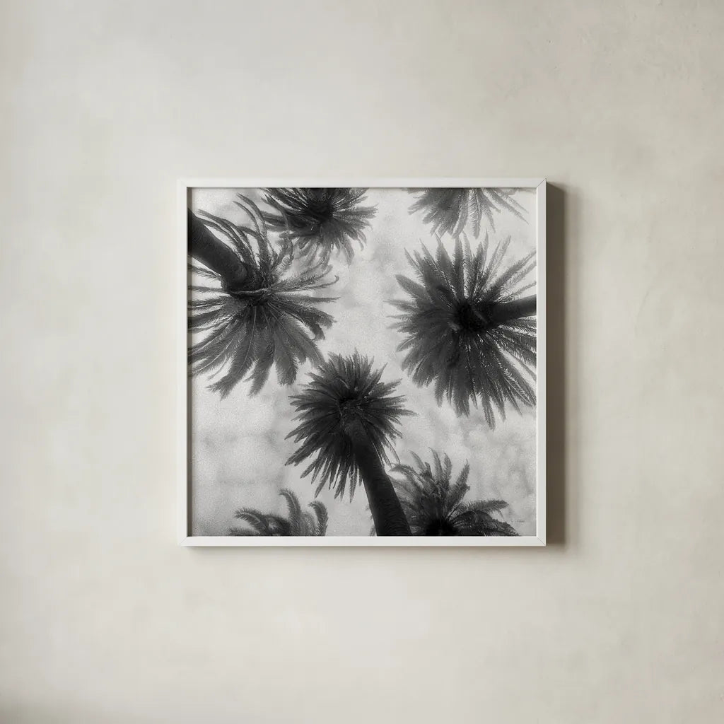 Amongst the Palms Square by Jim Dratfield. Shown in a crisp white glass frame for a clean and minimalist style. Available as an archival giclee rolled canvas, fine art paper, or poster print. SKU 30220a.