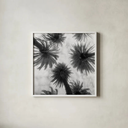 Amongst the Palms Square by Jim Dratfield. Shown in a crisp white glass frame for a clean and minimalist style. Available as an archival giclee rolled canvas, fine art paper, or poster print. SKU 30220a.