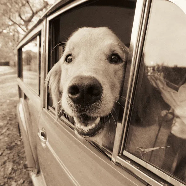 Are We There Yet by Jim Dratfield. SKU 9287a. Archival Giclee Fine art print for wall decor.