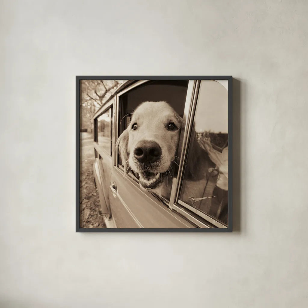 Are We There Yet by Jim Dratfield. Shown in a sleek black glass frame for a contemporary gallery look. Available as an archival giclee rolled canvas, fine art paper, or poster print. SKU 9287a.