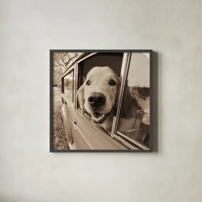 Are We There Yet by Jim Dratfield. Shown in a sleek black glass frame for a contemporary gallery look. Available as an archival giclee rolled canvas, fine art paper, or poster print. SKU 9287a.
