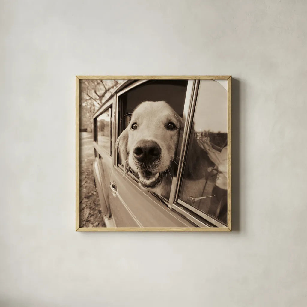 Are We There Yet by Jim Dratfield. Shown in a natural wood glass frame for a timeless modern aesthetic. Available as an archival giclee rolled canvas, fine art paper, or poster print. SKU 9287a.