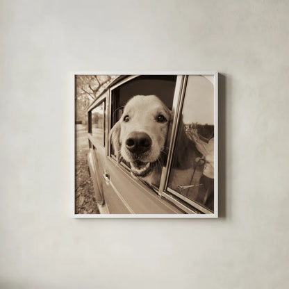 Are We There Yet by Jim Dratfield. Shown in a crisp white glass frame for a clean and minimalist style. Available as an archival giclee rolled canvas, fine art paper, or poster print. SKU 9287a.