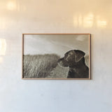 At the Beach by Jim Dratfield. shown as a paper print in a natural frame. Available as a archival giclee rolled canvas, fine art paper, or poster print. SKU 25490i.