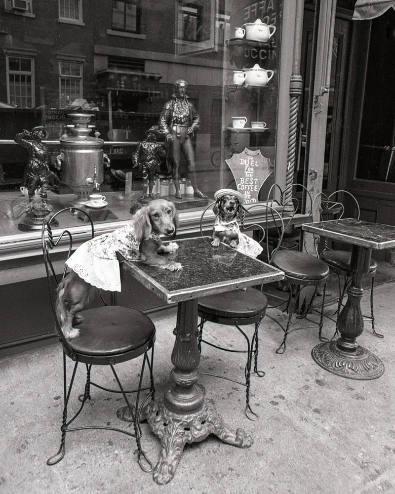 Barking at the Waiter by Jim Dratfield