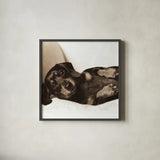 Dachshund Diva Crop by Jim Dratfield. Shown in a sleek black glass frame for a contemporary gallery look. Available as an archival giclee rolled canvas, fine art paper, or poster print. SKU 2638a.