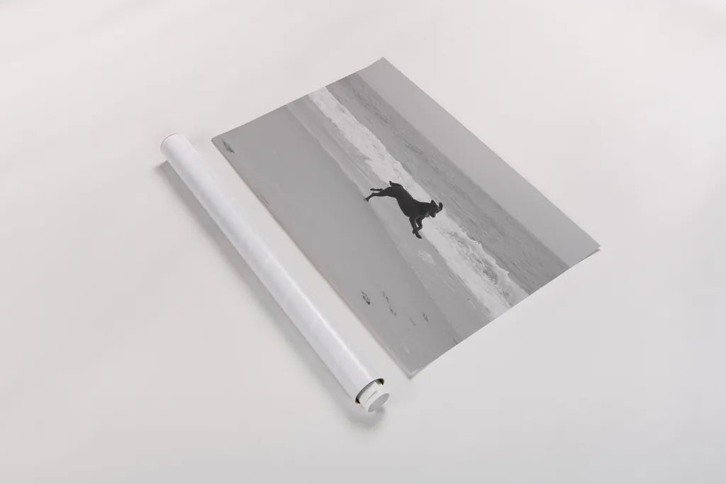 Follow Your Bliss by Jim Dratfield. shown as a rolled paper print. Available as archival giclee rolled canvas, fine art paper, or poster print. SKU 19697i.