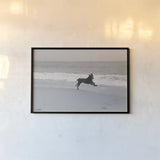 Follow Your Bliss by Jim Dratfield. shown as a paper print in a black flame. Available as a archival giclee rolled canvas, fine art paper, or poster print. SKU 19697i.