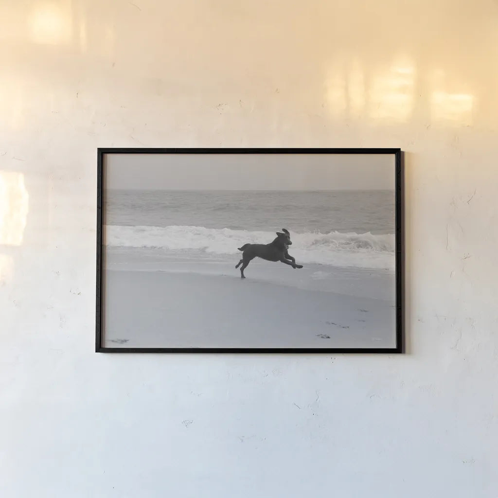 Follow Your Bliss by Jim Dratfield. shown as a paper print in a black flame. Available as a archival giclee rolled canvas, fine art paper, or poster print. SKU 19697i.