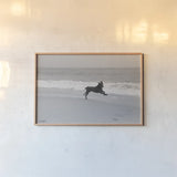 Follow Your Bliss by Jim Dratfield. shown as a paper print in a natural frame. Available as a archival giclee rolled canvas, fine art paper, or poster print. SKU 19697i.