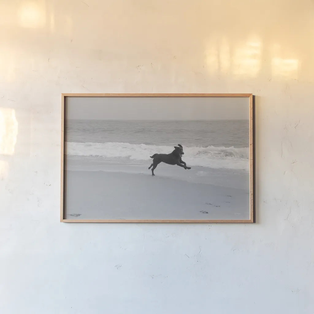 Follow Your Bliss by Jim Dratfield. shown as a paper print in a natural frame. Available as a archival giclee rolled canvas, fine art paper, or poster print. SKU 19697i.