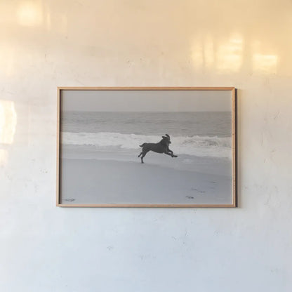 Follow Your Bliss by Jim Dratfield. shown as a paper print in a natural frame. Available as a archival giclee rolled canvas, fine art paper, or poster print. SKU 19697i.