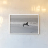 Follow Your Bliss by Jim Dratfield. shown as a paper print in a white frame. Available as a archival giclee rolled canvas, fine art paper, or poster print. SKU 19697i.