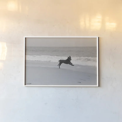 Follow Your Bliss by Jim Dratfield. shown as a paper print in a white frame. Available as a archival giclee rolled canvas, fine art paper, or poster print. SKU 19697i.