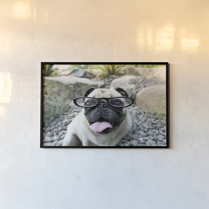 Four Eyes by Jim Dratfield. shown as a paper print in a black flame. Available as a archival giclee rolled canvas, fine art paper, or poster print. SKU 41093i.