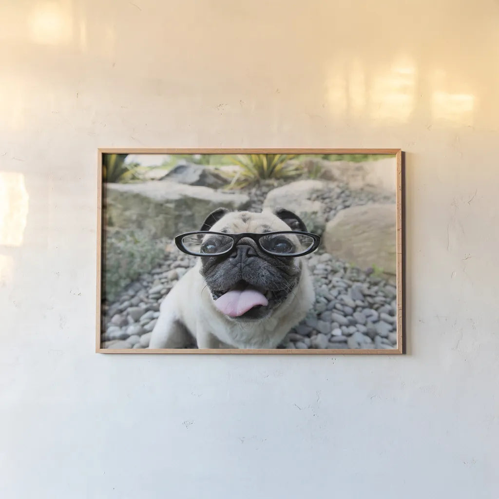 Four Eyes by Jim Dratfield. shown as a paper print in a natural frame. Available as a archival giclee rolled canvas, fine art paper, or poster print. SKU 41093i.