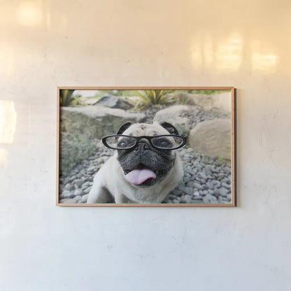 Four Eyes by Jim Dratfield. shown as a paper print in a natural frame. Available as a archival giclee rolled canvas, fine art paper, or poster print. SKU 41093i.